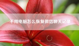 不用电脑怎么恢复微信聊天记录