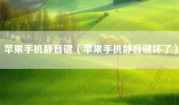 苹果手机静音键（苹果手机静音键坏了）
