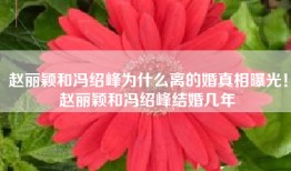 赵丽颖和冯绍峰为什么离的婚真相曝光！赵丽颖和冯绍峰结婚几年