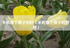 手机那个牌子的好（手机那个牌子的好用）