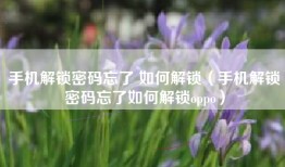 手机解锁密码忘了 如何解锁（手机解锁密码忘了如何解锁oppo）