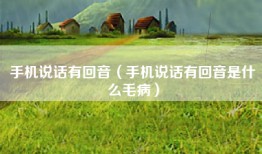 手机说话有回音（手机说话有回音是什么毛病）