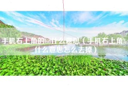 手机右上角的hd什么意思（手机右上角hd什么意思怎么去掉）