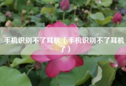 手机识别不了耳机（手机识别不了耳机了）