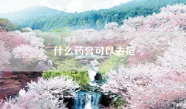 什么药膏可以去痘