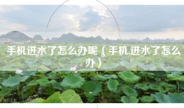 手机进水了怎么办呢（手机,进水了怎么办）