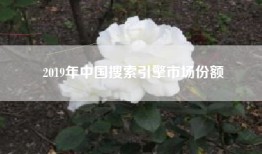 2019年中国搜索引擎市场份额