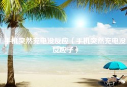 手机突然充电没反应（手机突然充电没反应了）