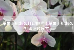 苹果手机怎么打印照片（苹果手机怎么打印照片尺寸）