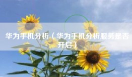 华为手机分析（华为手机分析服务是否开启）
