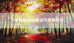 13年专注网站建设与营销经验
