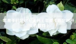 苹果手机定时开关机（苹果手机定时开关机软件）