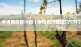 手机键鼠模拟器（手机模拟键鼠的软件）