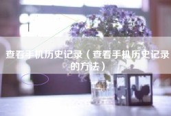 查看手机历史记录（查看手机历史记录的方法）