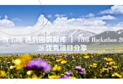 当 TiDB 遇到图数据库 ｜ TiDB Hackathon 2020 优秀项目分享