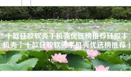 十款硅胶软壳手机壳优选榜推荐硅胶手机壳「十款硅胶软壳手机壳优选榜推荐」