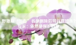 野猪从“三有”名录删除后可任意捕杀？专家：依然是保护对象