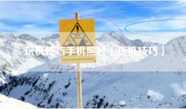 玩机技巧手机照片「玩机技巧」