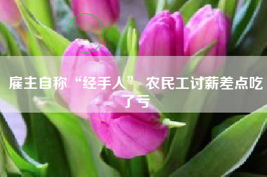 雇主自称“经手人” 农民工讨薪差点吃了亏