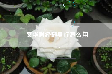 文华财经随身行怎么用