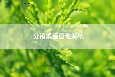 分销渠道管理系统