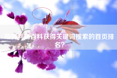 如何利用百科获得关键词搜索的首页排名？