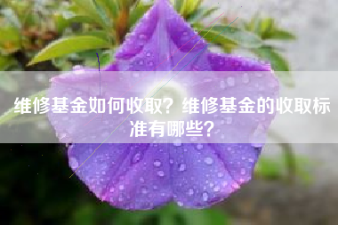 维修基金如何收取？维修基金的收取标准有哪些？