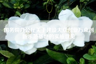 国务院办公厅关于建设大众创业万众创新示范基地的实施意见