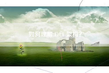 如何理解 EtLT 架构？
