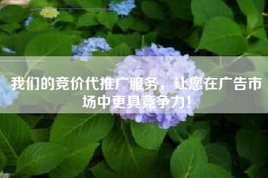 我们的竞价代推广服务，让您在广告市场中更具竞争力！