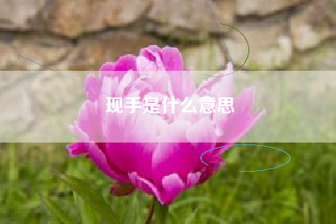 现手是什么意思