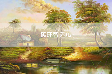 碳环智造Mag