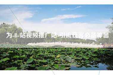 为-B-站视频推广站-引流获客必备神器