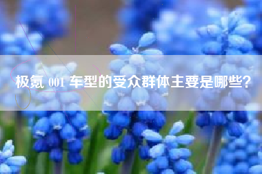 极氪 001 车型的受众群体主要是哪些？