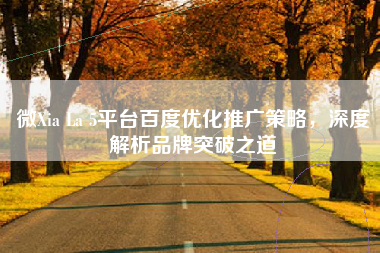 微Xia La 5平台百度优化推广策略，深度解析品牌突破之道