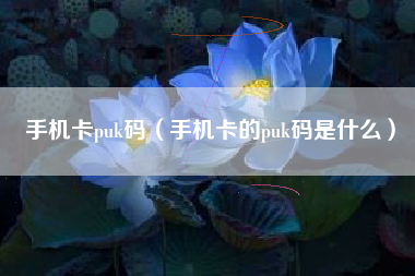 手机卡puk码（手机卡的puk码是什么）