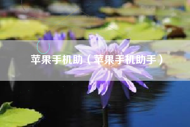 苹果手机助（苹果手机助手）