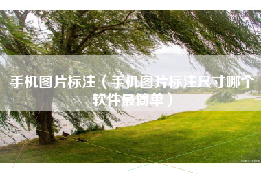 手机图片标注（手机图片标注尺寸哪个软件最简单）