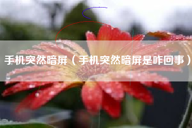 手机突然暗屏（手机突然暗屏是咋回事）