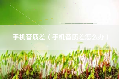 手机音质差（手机音质差怎么办）