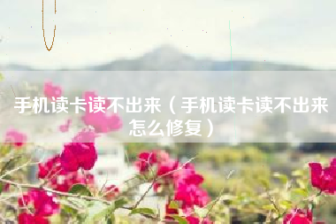 手机读卡读不出来（手机读卡读不出来怎么修复）
