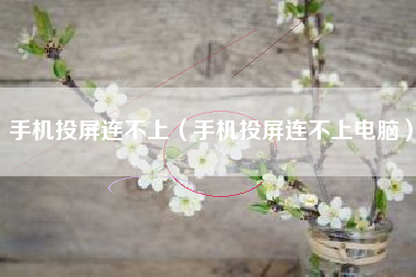 手机投屏连不上（手机投屏连不上电脑）