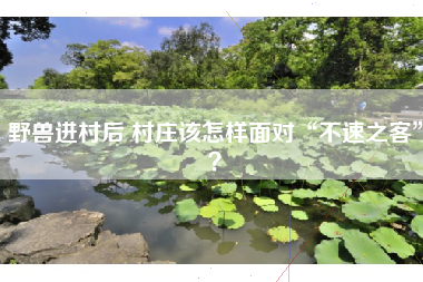 野兽进村后 村庄该怎样面对“不速之客”？