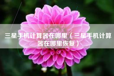 三星手机计算器在哪里（三星手机计算器在哪里恢复）