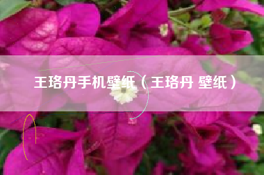 王珞丹手机壁纸（王珞丹 壁纸）