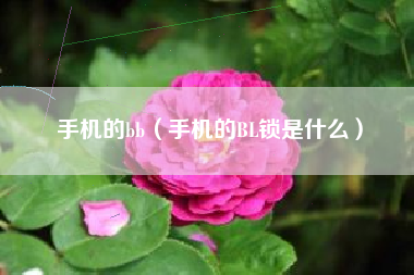 手机的bb（手机的BL锁是什么）