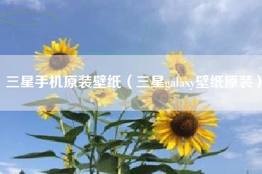 三星手机原装壁纸（三星galaxy壁纸原装）