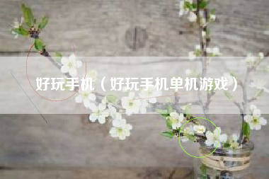 好玩手机（好玩手机单机游戏）
