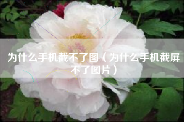 为什么手机截不了图（为什么手机截屏不了图片）