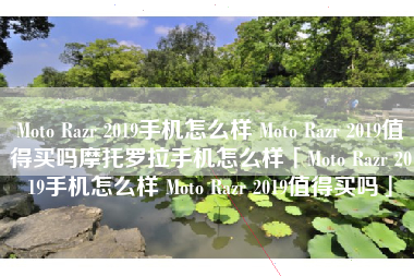 Moto Razr 2019手机怎么样 Moto Razr 2019值得买吗摩托罗拉手机怎么样「Moto Razr 2019手机怎么样 Moto Razr 2019值得买吗」